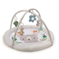 KinderKraft Activity Gym Cozyplay